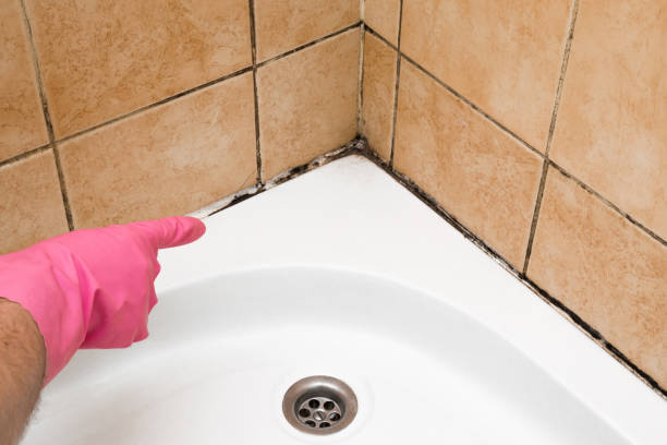 Best Affordable Mold Removal  in Penrose, CO